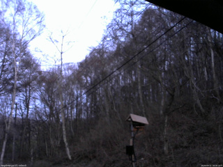 長野県菅平高原 ゆたか山荘 温度計 2026/04/11 18:30