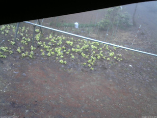 長野県菅平高原 ゆたか山荘 駐車場 2026/04/11 05:45