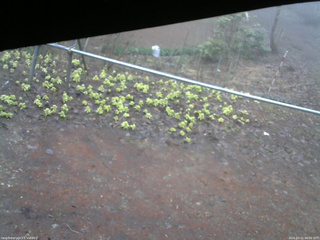 長野県菅平高原 ゆたか山荘 駐車場 2026/04/11 06:00