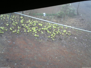 長野県菅平高原 ゆたか山荘 駐車場 2026/04/11 06:15