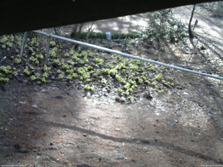 長野県菅平高原 ゆたか山荘 駐車場 2026/04/11 07:00