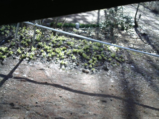 長野県菅平高原 ゆたか山荘 駐車場 2026/04/11 07:15