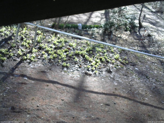 長野県菅平高原 ゆたか山荘 駐車場 2026/04/11 07:30