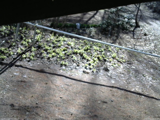 長野県菅平高原 ゆたか山荘 駐車場 2026/04/11 08:00