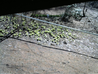 長野県菅平高原 ゆたか山荘 駐車場 2026/04/11 08:30