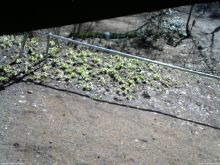 長野県菅平高原 ゆたか山荘 駐車場 2026/04/11 08:45