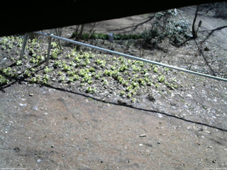 長野県菅平高原 ゆたか山荘 駐車場 2026/04/11 09:00