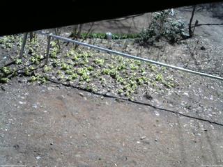 長野県菅平高原 ゆたか山荘 駐車場 2026/04/11 09:30