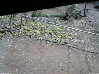 長野県菅平高原 ゆたか山荘 駐車場 2026/04/11 10:00