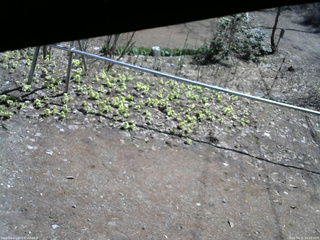 長野県菅平高原 ゆたか山荘 駐車場 2026/04/11 10:15