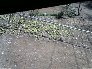 長野県菅平高原 ゆたか山荘 駐車場 2026/04/11 10:30