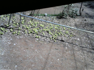 長野県菅平高原 ゆたか山荘 駐車場 2026/04/11 10:45