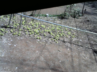 長野県菅平高原 ゆたか山荘 駐車場 2026/04/11 11:15