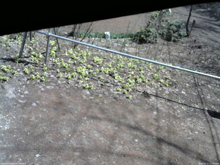 長野県菅平高原 ゆたか山荘 駐車場 2026/04/11 11:30