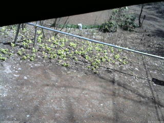 長野県菅平高原 ゆたか山荘 駐車場 2026/04/11 11:45