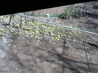 長野県菅平高原 ゆたか山荘 駐車場 2026/04/11 12:15