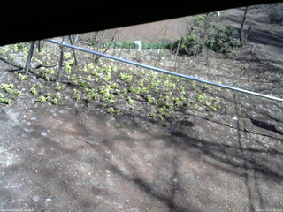 長野県菅平高原 ゆたか山荘 駐車場 2026/04/11 12:30