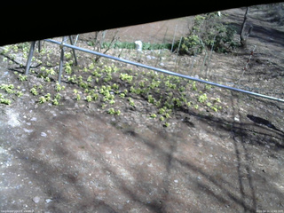 長野県菅平高原 ゆたか山荘 駐車場 2026/04/11 12:45