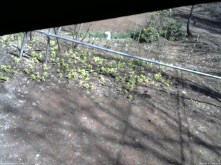 長野県菅平高原 ゆたか山荘 駐車場 2026/04/11 13:00