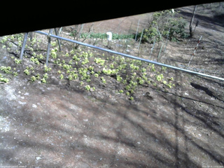 長野県菅平高原 ゆたか山荘 駐車場 2026/04/11 13:15
