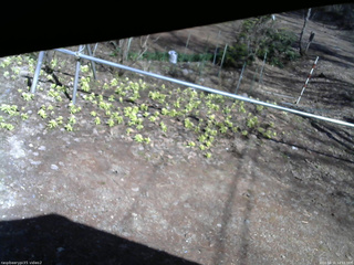 長野県菅平高原 ゆたか山荘 駐車場 2026/04/11 14:15