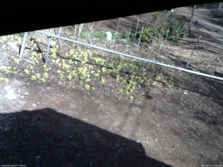 長野県菅平高原 ゆたか山荘 駐車場 2026/04/11 14:45