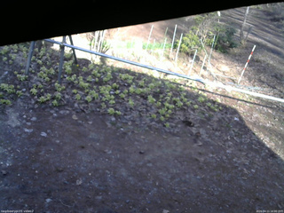 長野県菅平高原 ゆたか山荘 駐車場 2026/04/11 16:00