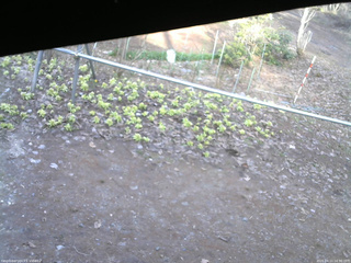 長野県菅平高原 ゆたか山荘 駐車場 2026/04/11 16:30