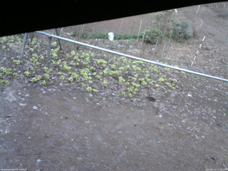 長野県菅平高原 ゆたか山荘 駐車場 2026/04/11 17:30