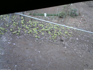 長野県菅平高原 ゆたか山荘 駐車場 2026/04/11 17:45