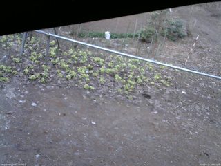 長野県菅平高原 ゆたか山荘 駐車場 2026/04/11 18:00