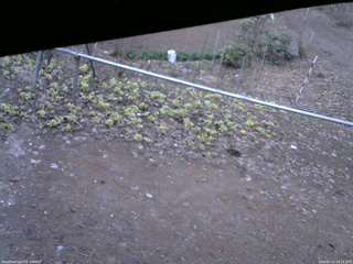 長野県菅平高原 ゆたか山荘 駐車場 2026/04/11 18:15