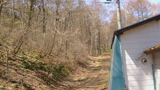 長野県菅平高原 ゆたか山荘 ゆたか山荘 2026/04/11 11:00