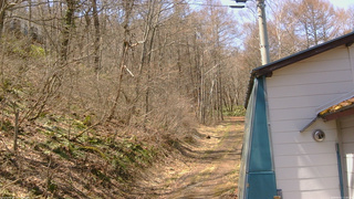 長野県菅平高原 ゆたか山荘 ゆたか山荘 2026/04/11 11:30