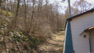長野県菅平高原 ゆたか山荘 ゆたか山荘 2026/04/11 14:00