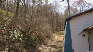 長野県菅平高原 ゆたか山荘 ゆたか山荘 2026/04/11 14:15