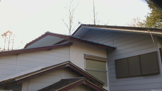 長野県菅平高原 ゆたか山荘 駐車場奥 2026/04/11 16:45