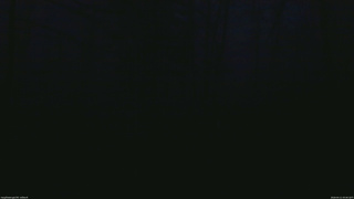 長野県菅平高原 ゆたか山荘 坂上 2026/04/11 05:00