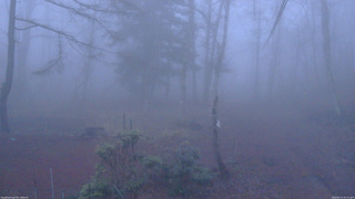 長野県菅平高原 ゆたか山荘 坂上 2026/04/11 05:15