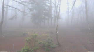 長野県菅平高原 ゆたか山荘 坂上 2026/04/11 05:30