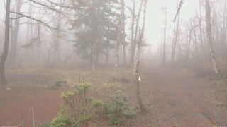 長野県菅平高原 ゆたか山荘 坂上 2026/04/11 05:45