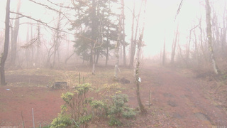 長野県菅平高原 ゆたか山荘 坂上 2026/04/11 06:00