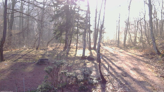 長野県菅平高原 ゆたか山荘 坂上 2026/04/11 06:30