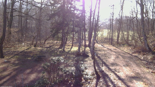 長野県菅平高原 ゆたか山荘 坂上 2026/04/11 06:45