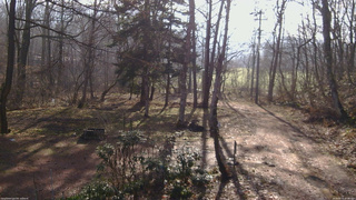 長野県菅平高原 ゆたか山荘 坂上 2026/04/11 07:00