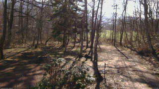 長野県菅平高原 ゆたか山荘 坂上 2026/04/11 07:15