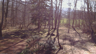 長野県菅平高原 ゆたか山荘 坂上 2026/04/11 07:45