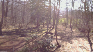 長野県菅平高原 ゆたか山荘 坂上 2026/04/11 08:00