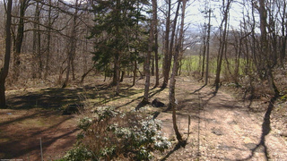 長野県菅平高原 ゆたか山荘 坂上 2026/04/11 08:15
