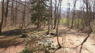 長野県菅平高原 ゆたか山荘 坂上 2026/04/11 08:30
